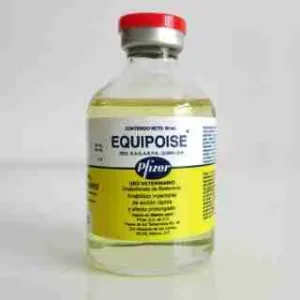 Equipoise 50mg 50ml – Vetenary big